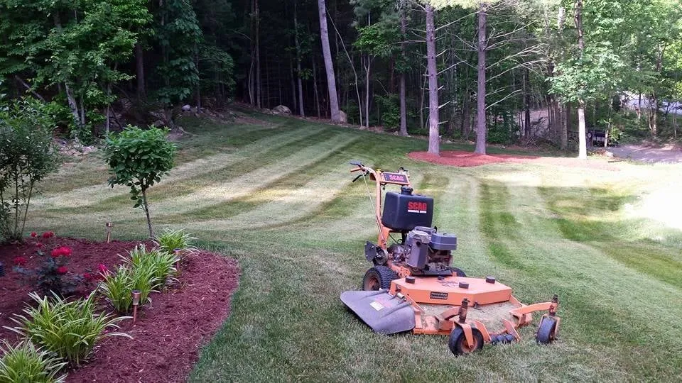 Top-rated yard cleanup service in New Castle, VA by Forever Green Lawn Care