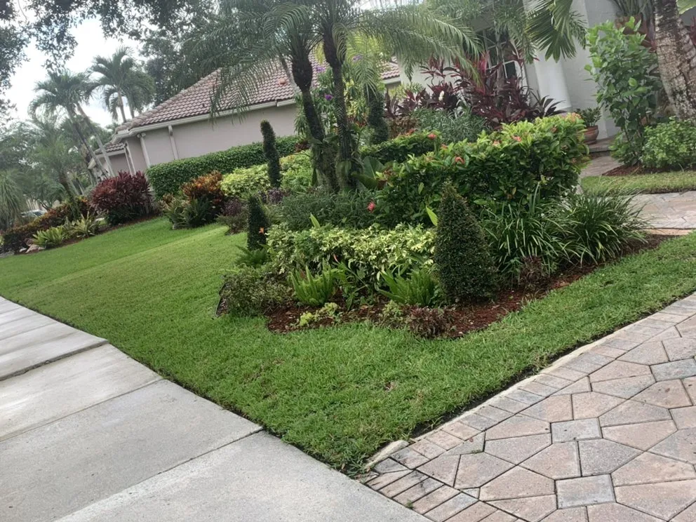 Expert landscape design in North Lauderdale, FL - Forever Green Lawn Care