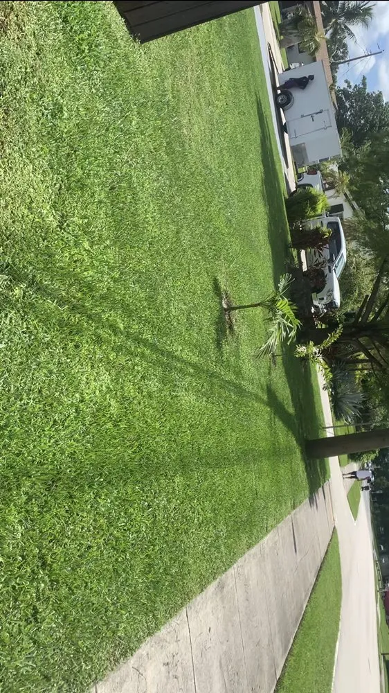 Expert residential landscaping in North Lauderdale, FL by Forever Green Lawn Care