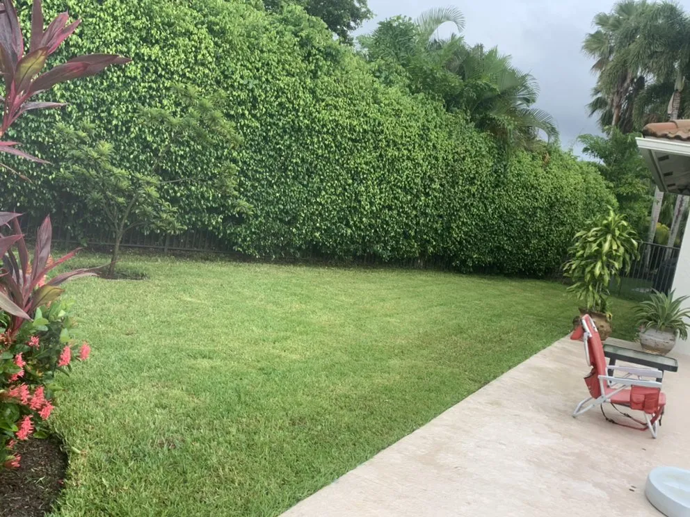 Reliable yard maintenance in North Lauderdale, FL - Forever Green Lawn Care