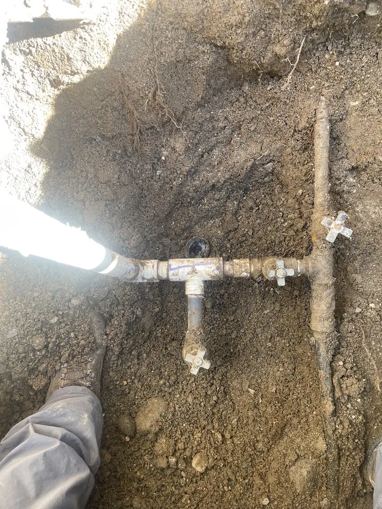 Expert garden landscaping in Sun Valley, NV - Forever Green Lawn Services