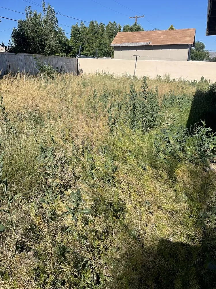 Expert landscape design in Sun Valley, NV - Forever Green Lawn Services