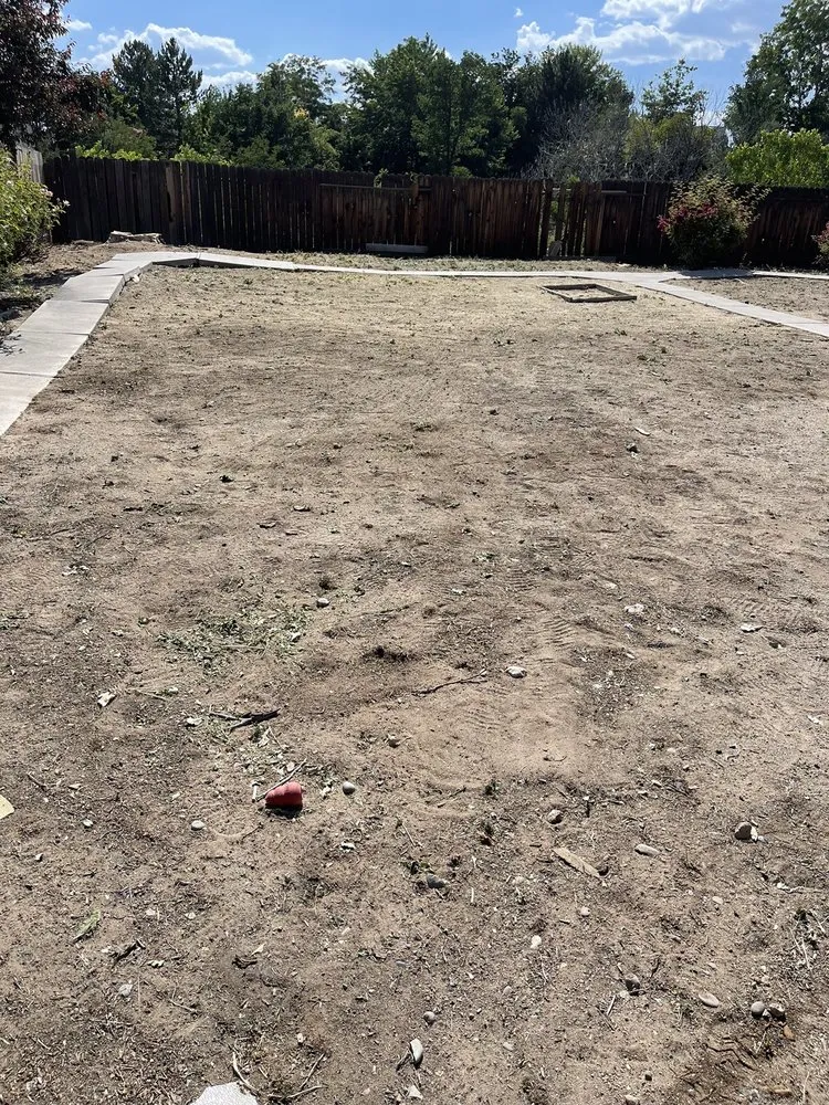 Custom lawn care service experts serving Sun Valley, NV - Forever Green Lawn Services