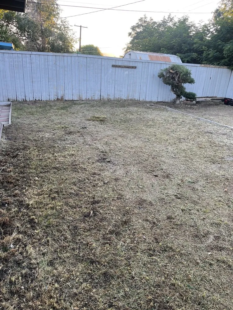 Expert residential landscaping in Sun Valley, NV - Forever Green Lawn Services