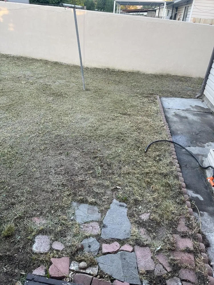 Local landscape installation for residential properties in Sun Valley, NV by Forever Green Lawn Services