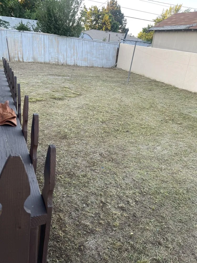 Local yard cleanup service in Sun Valley, NV - Forever Green Lawn Services