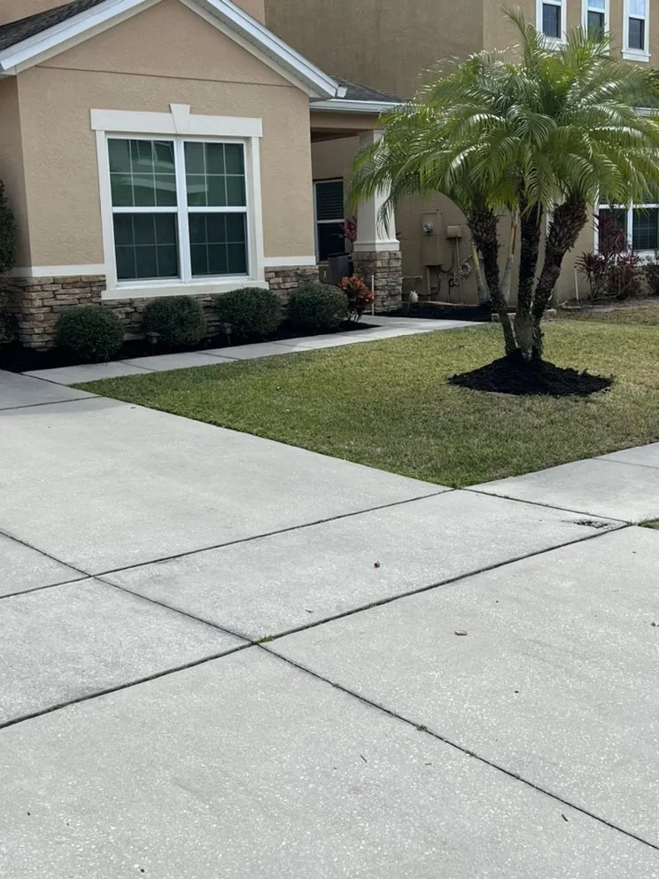 Local landscape installation in Alafaya, FL - Forever Green Milliani Lawn Care