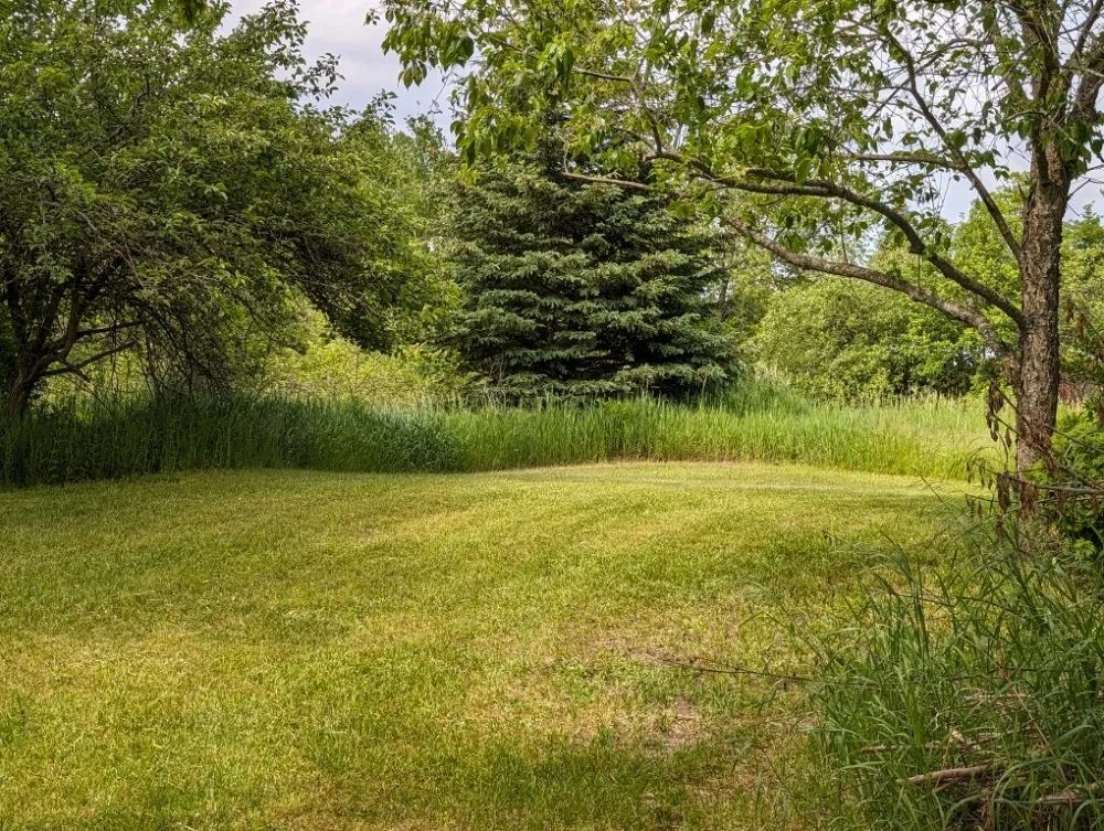 Reliable residential landscaping for year-round maintenance across Pellston, MI - Forever Green