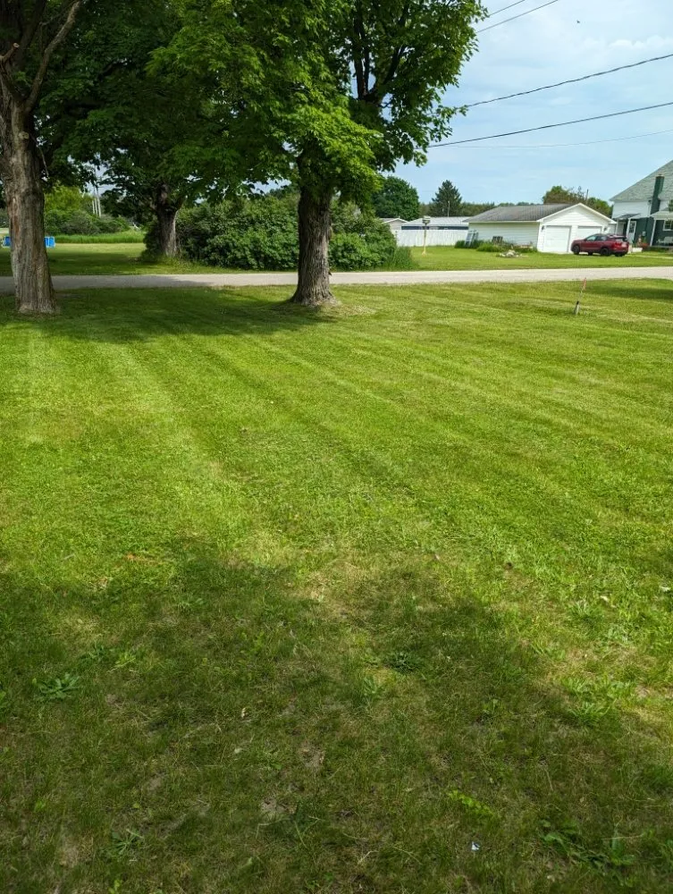 Expert landscaping services near you in Pellston, MI by Forever Green