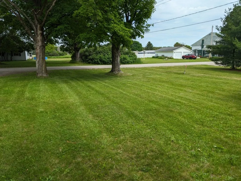 Trusted landscaping services in Pellston, MI by Forever Green