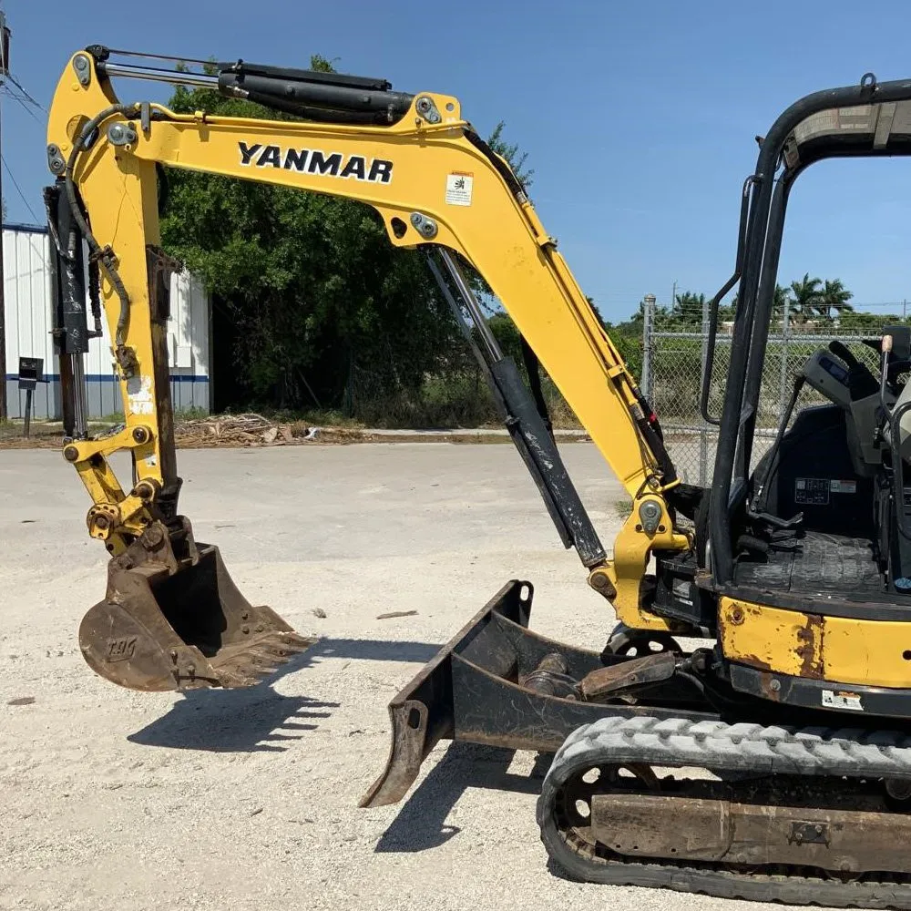 Custom yard cleanup service for homes in Rockford, IL by Forever Green