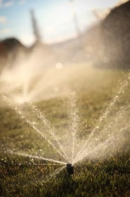 Top-rated lawn care service in Nine Mile Falls, WA - Forever Green Sprinklers and Landscapes