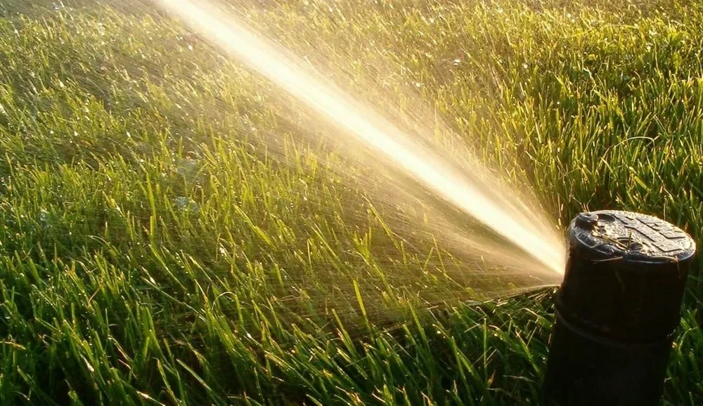 Top-rated lawn mowing service experts serving Nine Mile Falls, WA - Forever Green Sprinklers and Landscapes
