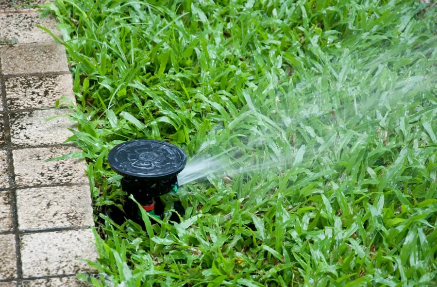Expert yard maintenance experts serving Nine Mile Falls, WA - Forever Green Sprinklers and Landscapes
