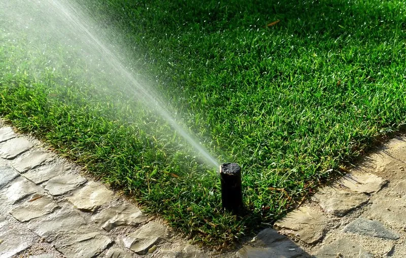 Trusted yard maintenance in Nine Mile Falls, WA - Forever Green Sprinklers and Landscapes