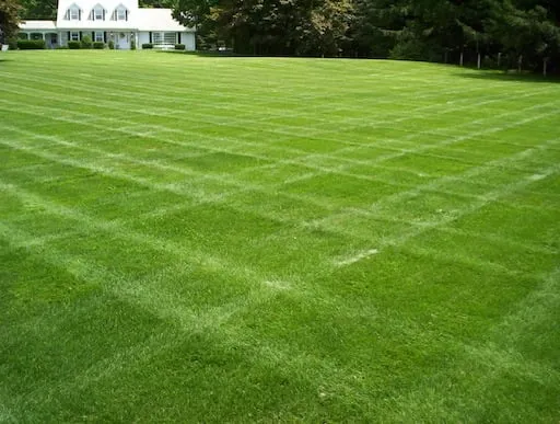 Trusted residential landscaping in Nine Mile Falls, WA by Forever Green Sprinklers and Landscapes