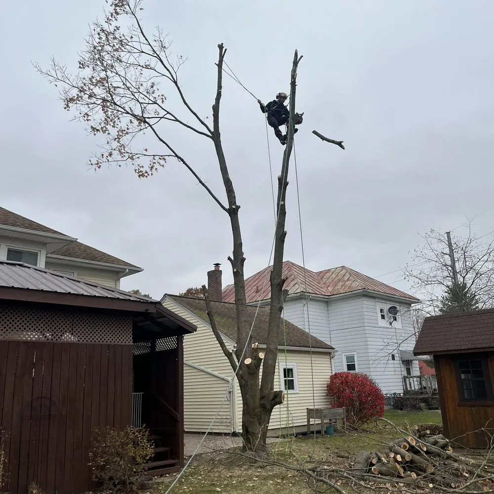 Local residential landscaping in Baltimore, OH by Forever Green Tree Service