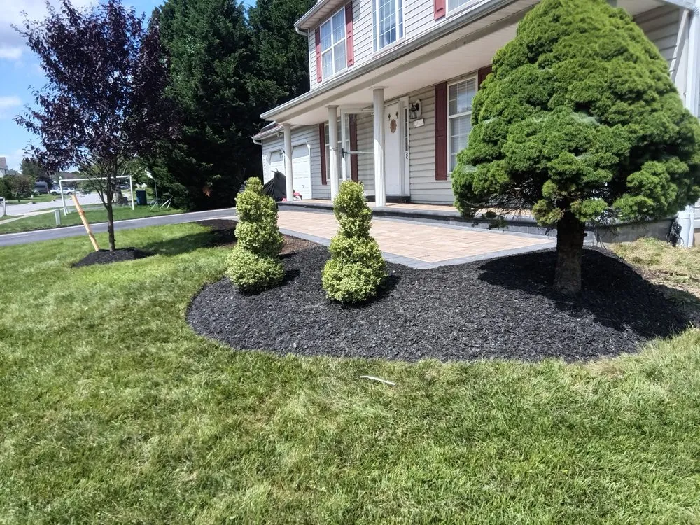 Expert landscaping services experts serving Wilmington, DE - Forever Ky Landscaping