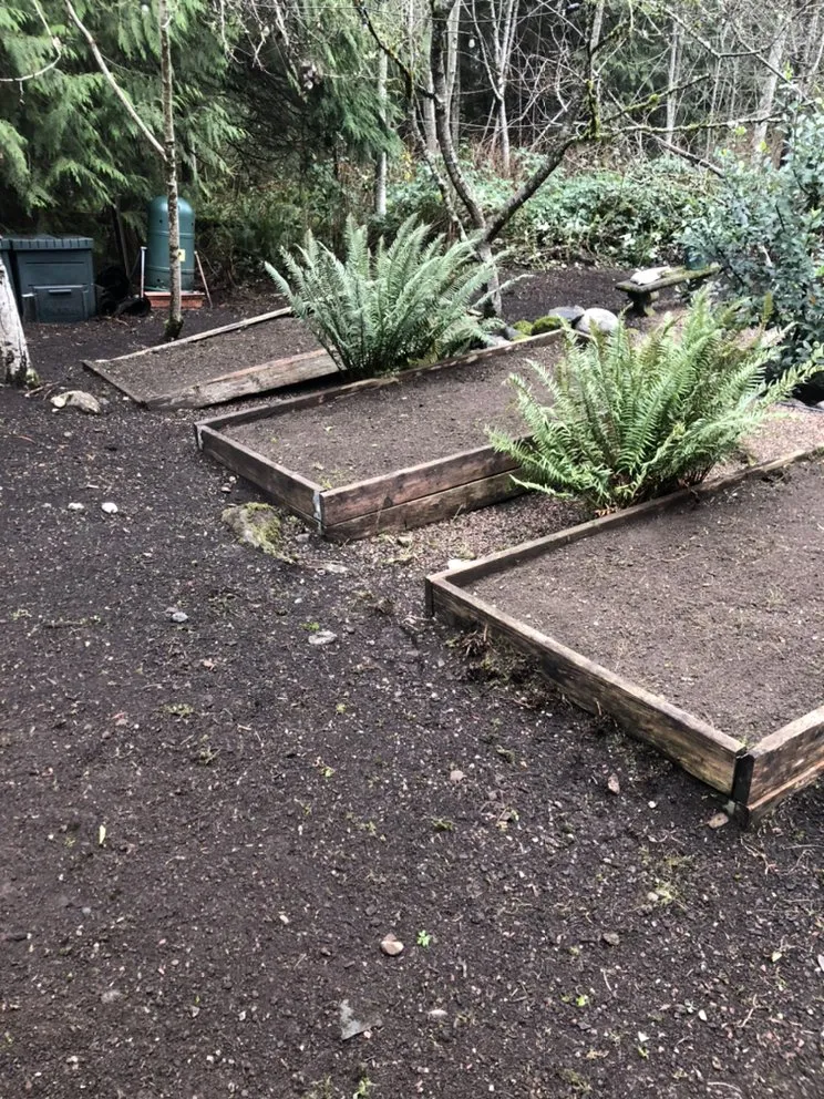 Local residential landscaping for homes in Issaquah, WA by Forever Landcare