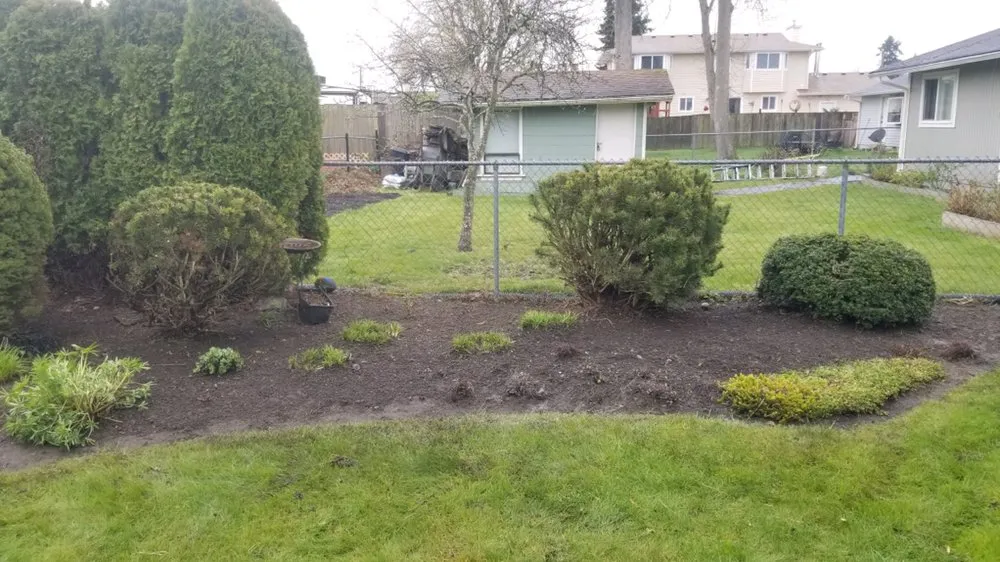 Reliable landscaping services in Issaquah, WA - Forever Landcare
