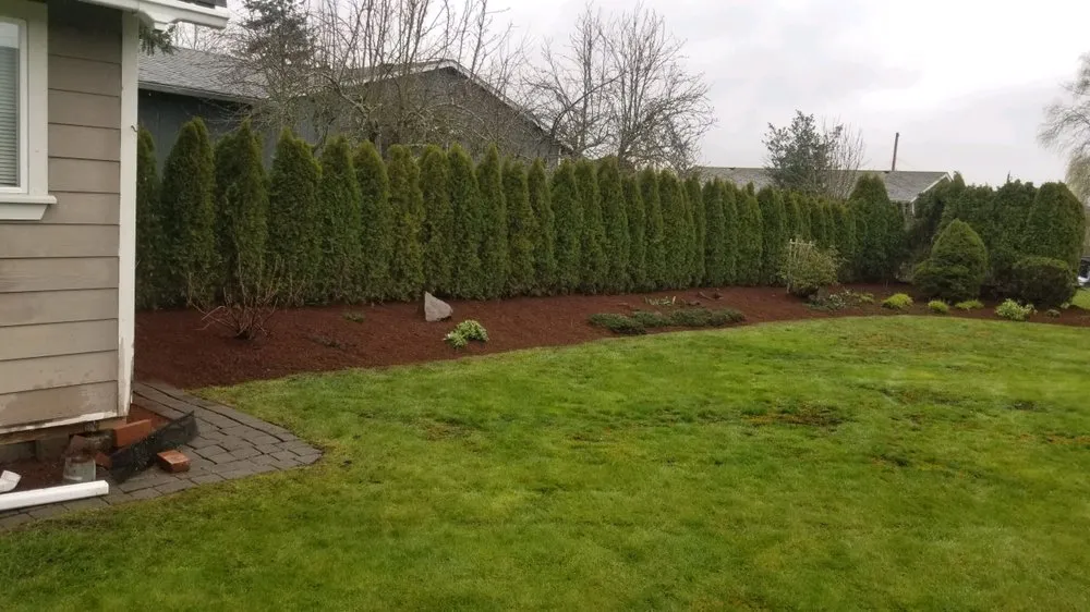 Local landscape design for residential properties in Issaquah, WA by Forever Landcare