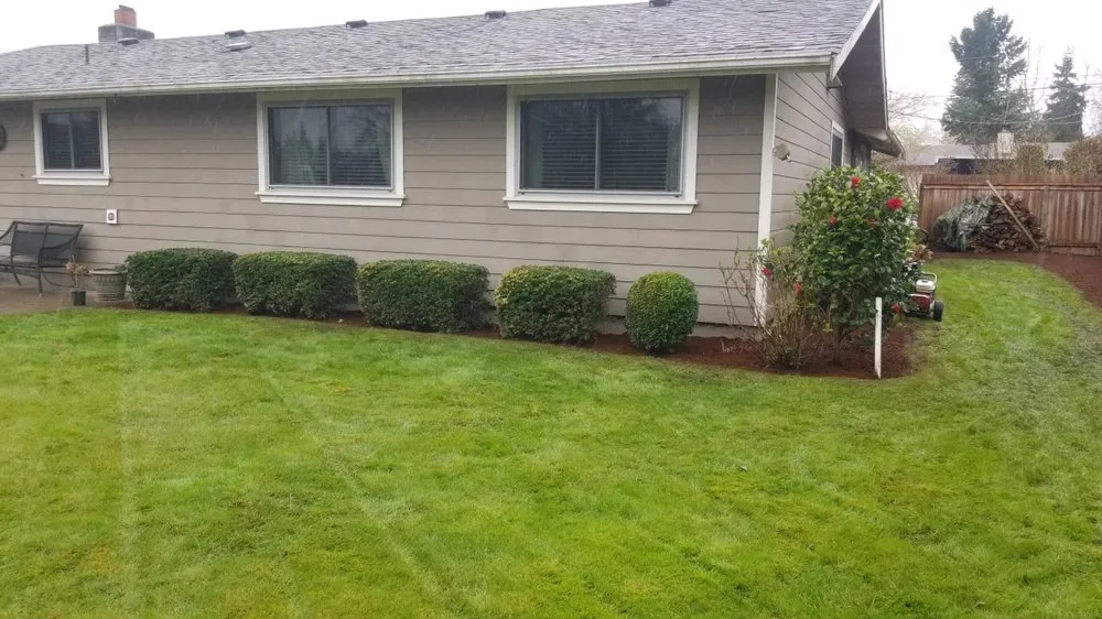Reliable yard maintenance in Issaquah, WA by Forever Landcare