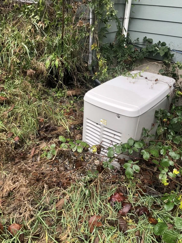 Custom garden landscaping for beautiful yards across Issaquah, WA - Forever Landcare