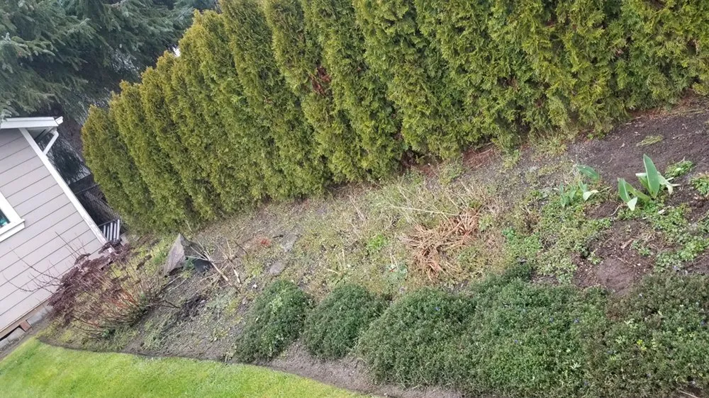 Trusted garden landscaping with custom design in Issaquah, WA by Forever Landcare