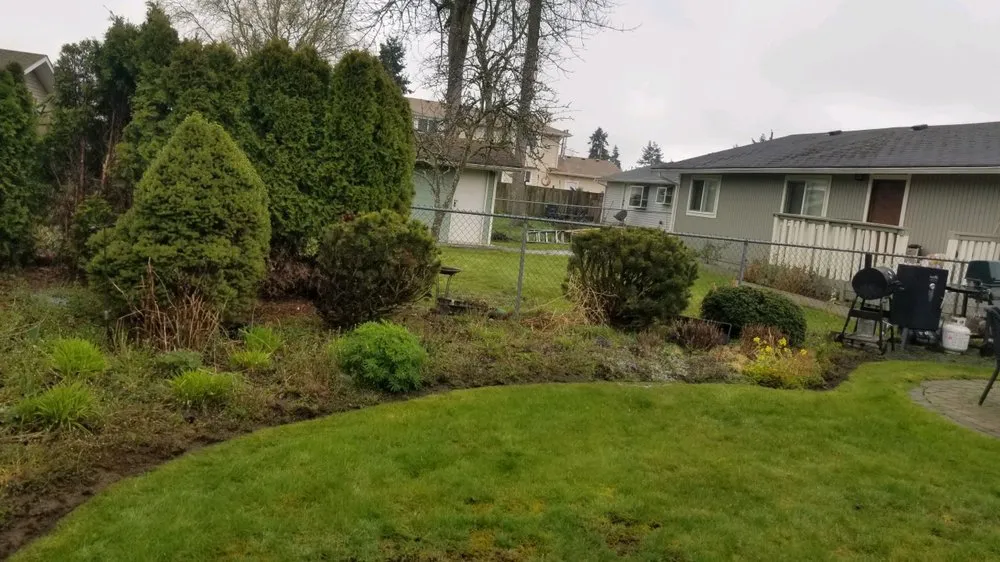 Local landscape design for outdoor upgrades across Issaquah, WA - Forever Landcare
