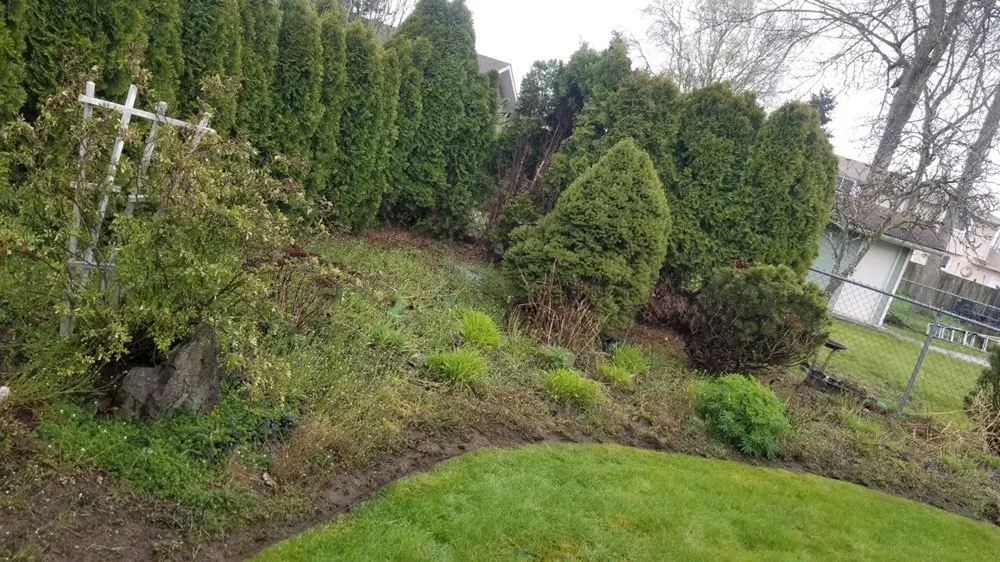 Expert lawn care service for beautiful yards across Issaquah, WA - Forever Landcare