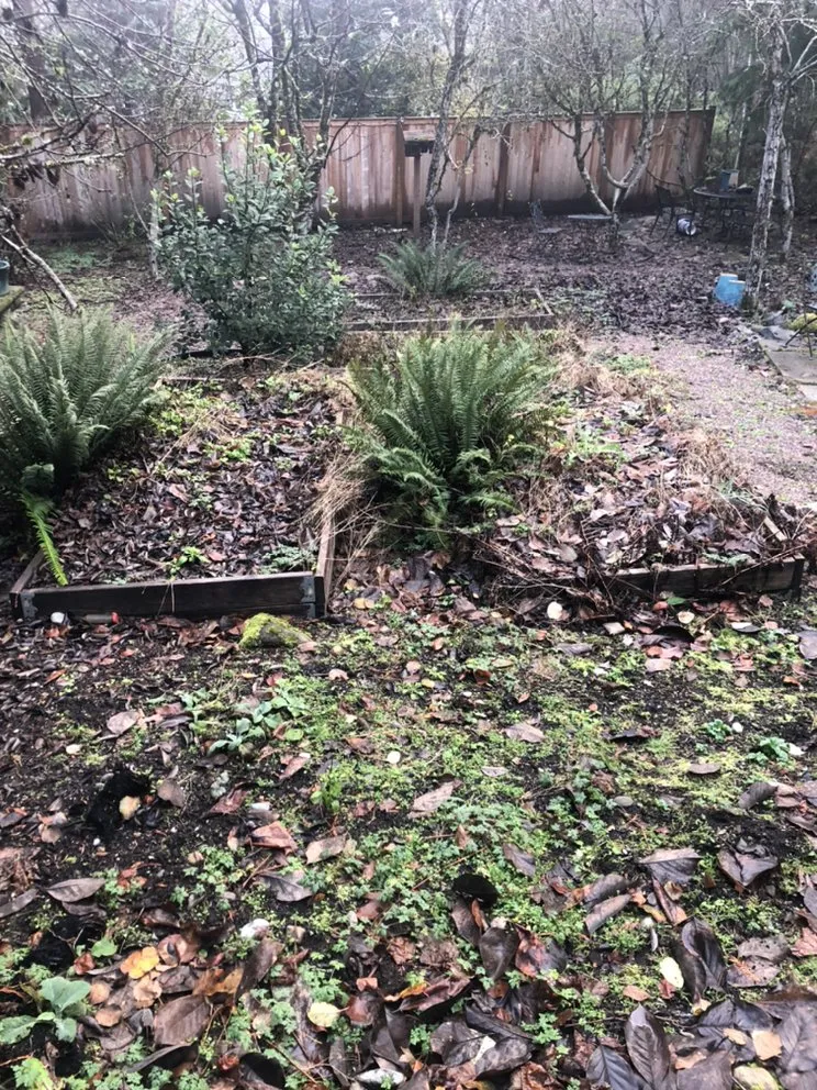 Trusted yard maintenance in Issaquah, WA - Forever Landcare