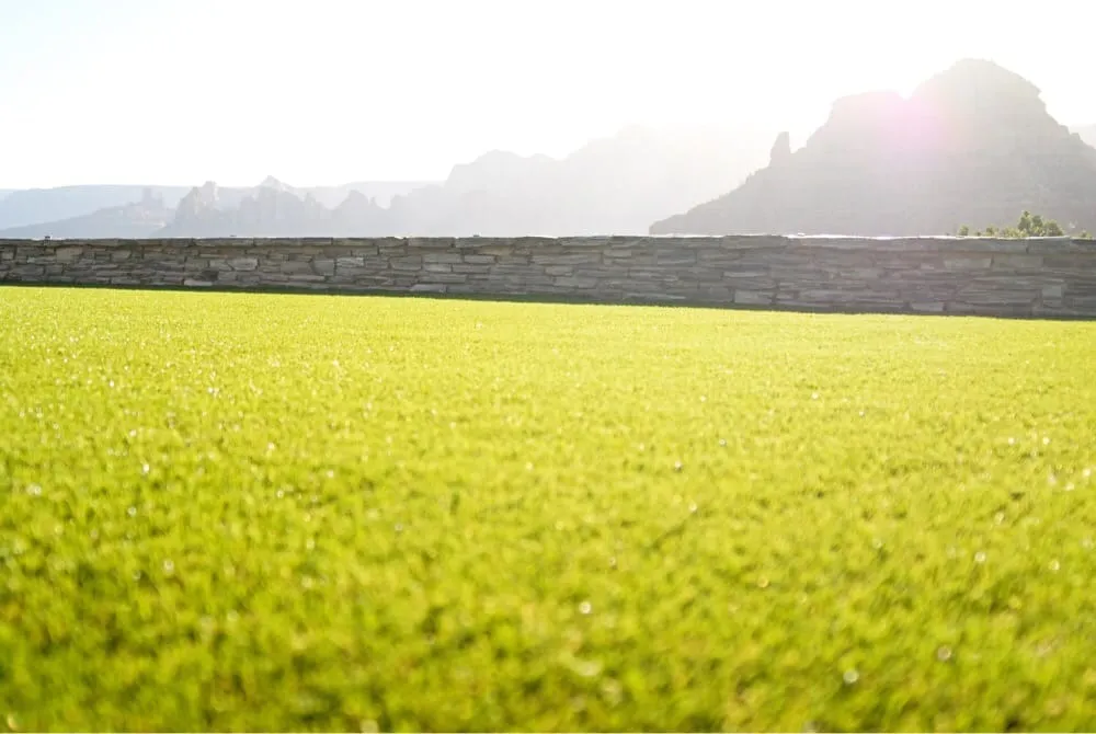 Trusted yard cleanup service for outdoor upgrades in Flagstaff, AZ by Forever Lawn