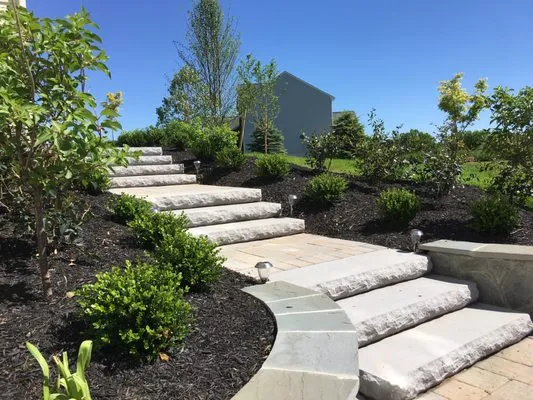 Forever Spring Construction & Landscaping