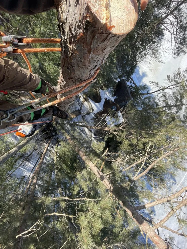 Reliable outdoor landscaping for year-round maintenance in Tupper Lake, NY by Forever Wild Arborist