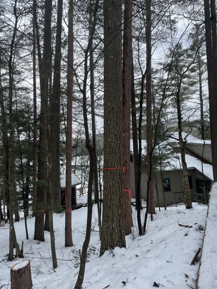 Affordable garden landscaping for year-round maintenance in Tupper Lake, NY by Forever Wild Arborist