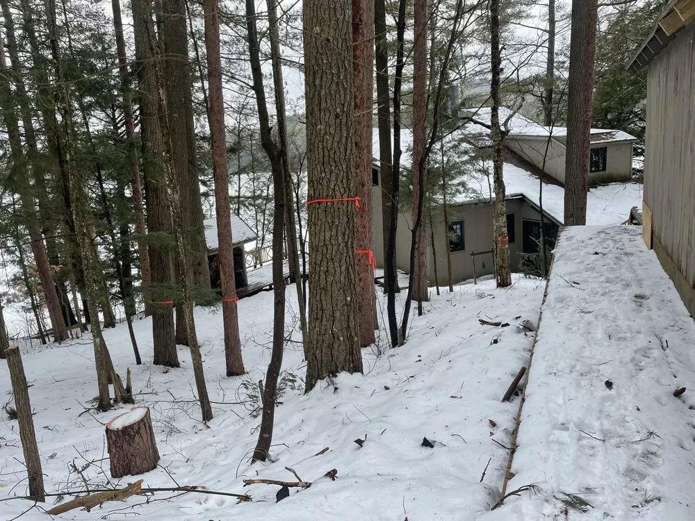 Reliable residential landscaping experts serving Tupper Lake, NY - Forever Wild Arborist