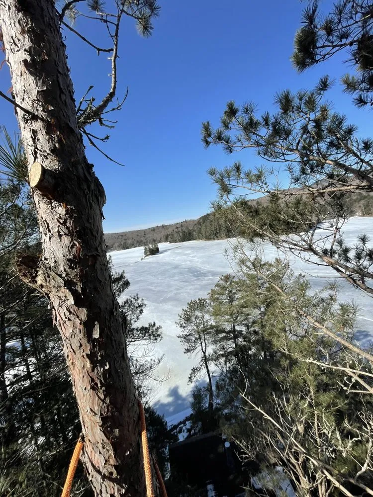 Custom landscaping services in Tupper Lake, NY by Forever Wild Arborist