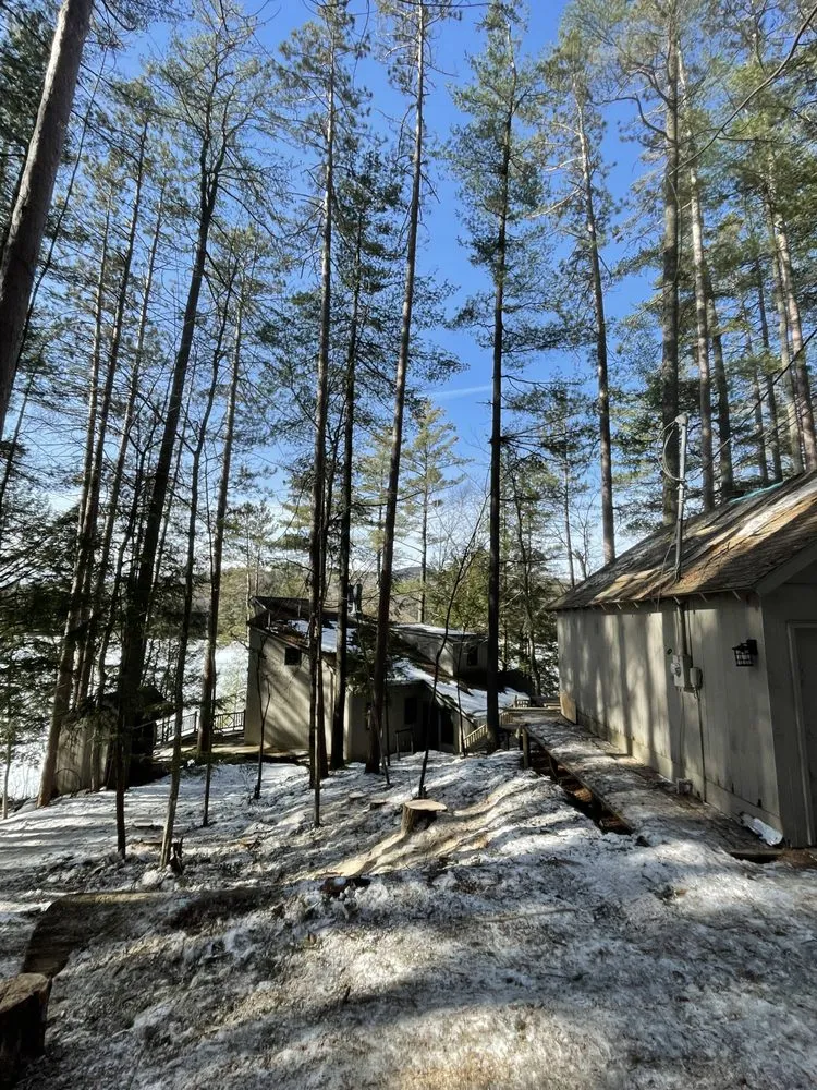 Professional landscape installation with custom design across Tupper Lake, NY - Forever Wild Arborist