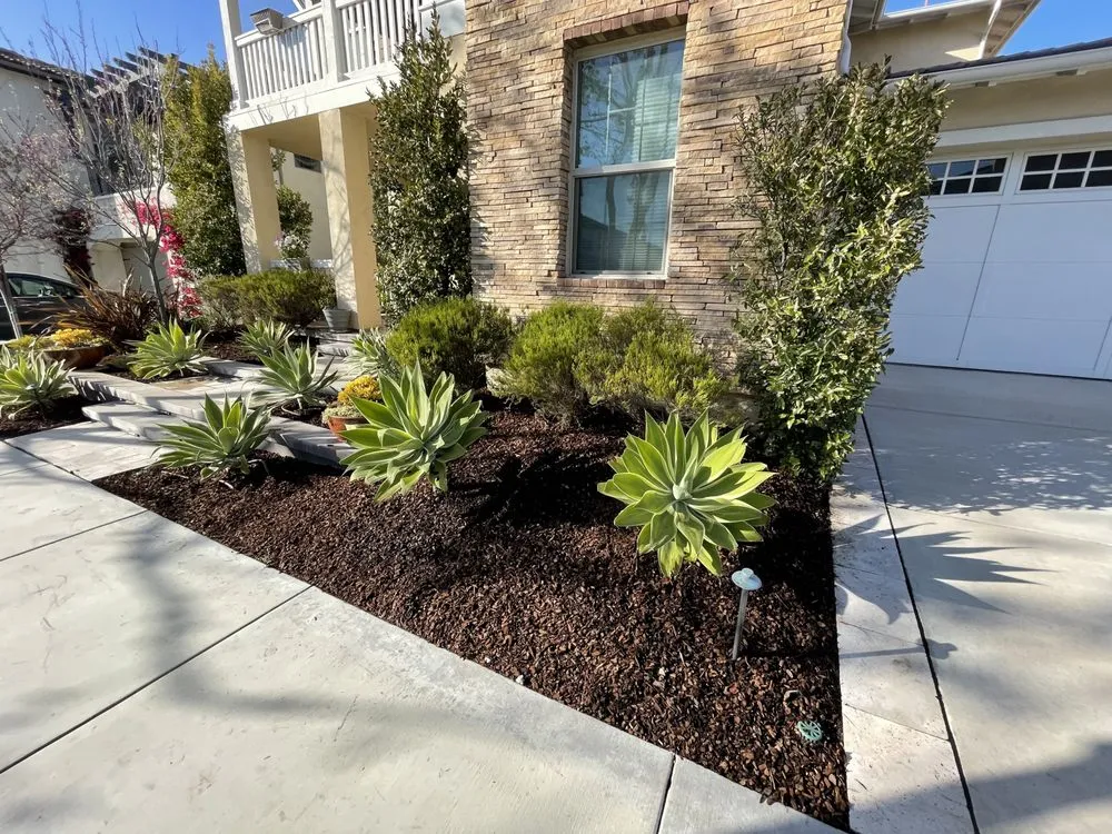 Trusted outdoor landscaping for homes in Laguna Hills, CA by Forever Young Landscape