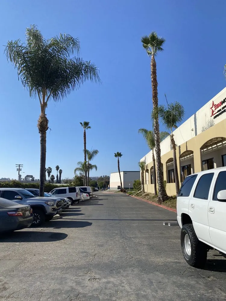 Expert lawn care service in Laguna Hills, CA - Forever Young Landscape