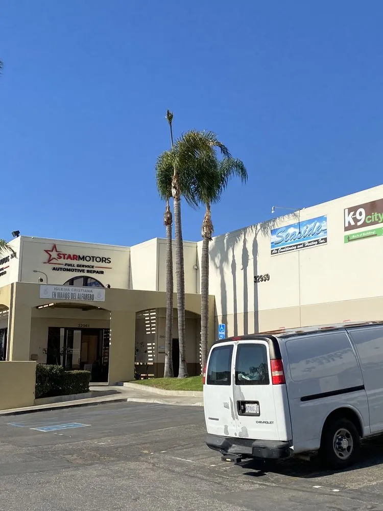 Affordable landscaping services in Laguna Hills, CA - Forever Young Landscape