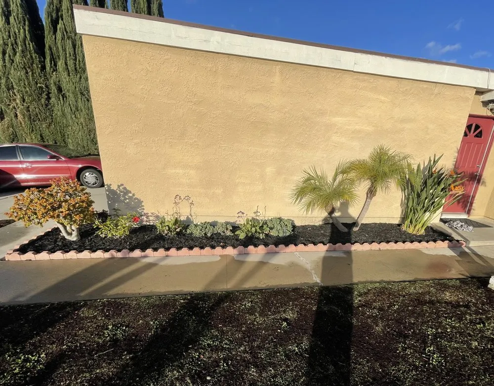 Professional landscape design in Laguna Hills, CA - Forever Young Landscape