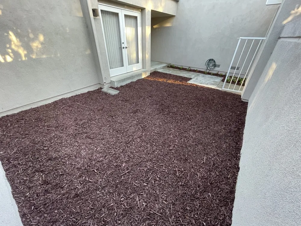 Expert yard cleanup service for outdoor upgrades in Laguna Hills, CA by Forever Young Landscape