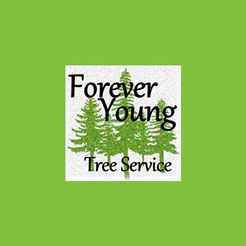 Expert outdoor landscaping in Collegeville, PA by Forever Young Tree Service