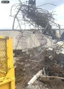 Trusted landscaping services in Collegeville, PA by Forever Young Tree Service