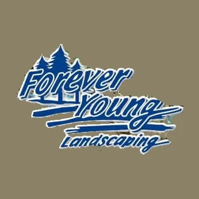 Trusted lawn mowing service in Collegeville, PA - Forever Young Tree Service