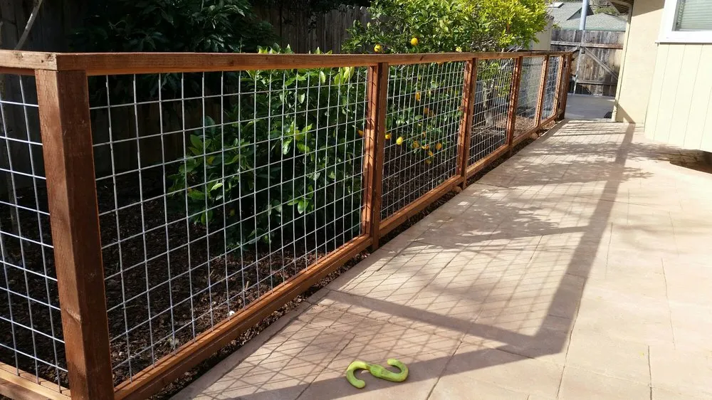 Top-rated lawn mowing service in Novato, CA by Forevergreen Landscape & Maintenance