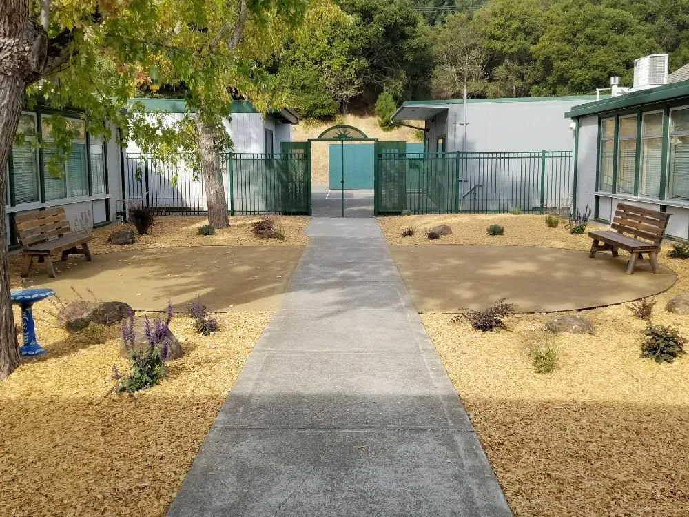 Top-rated lawn care service for homes across Novato, CA - Forevergreen Landscape & Maintenance