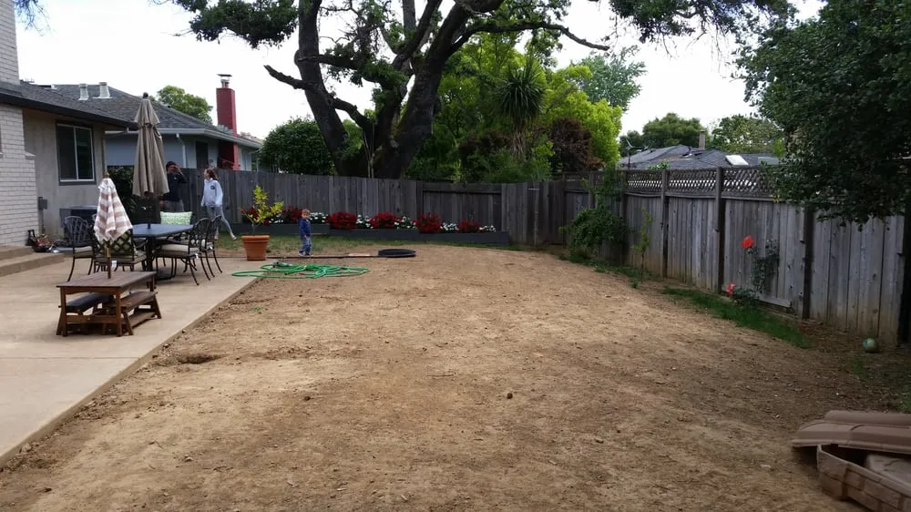 Custom lawn mowing service experts serving Novato, CA - Forevergreen Landscape & Maintenance