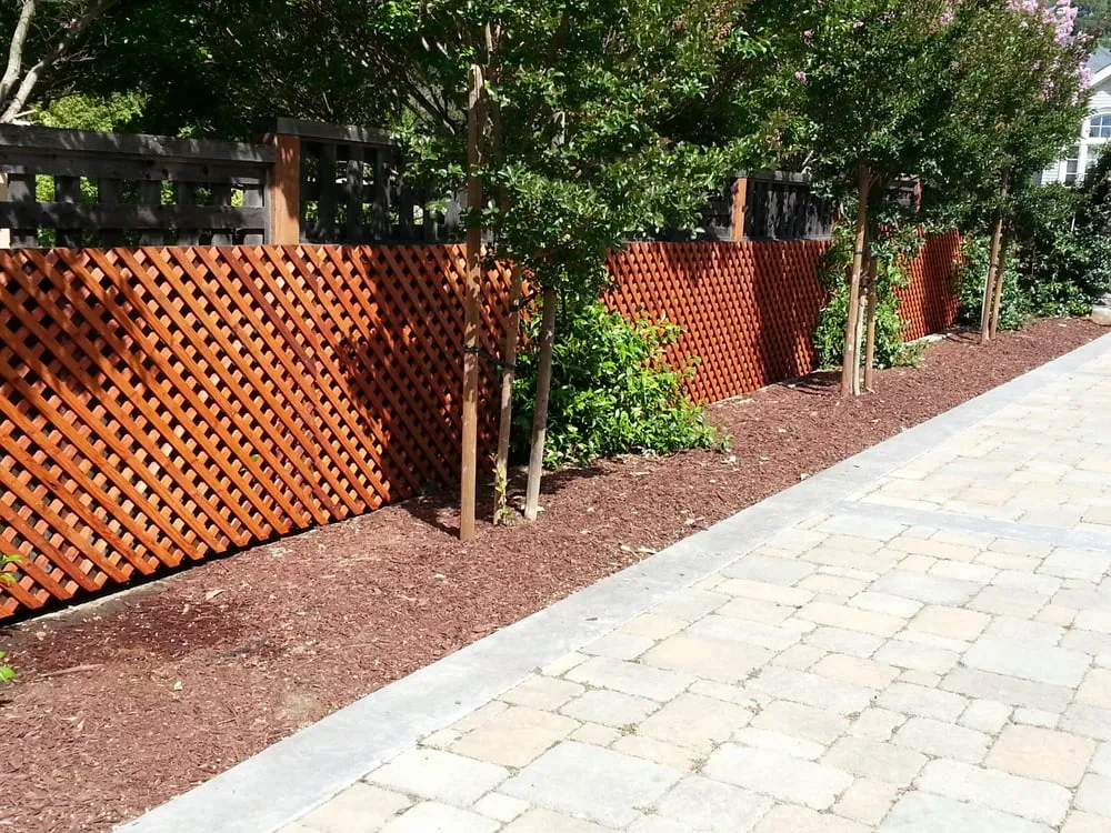 Professional lawn care service in Novato, CA - Forevergreen Landscape & Maintenance